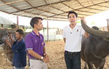 เจษฎาพาลุย : ขี่เจ้าทุยที่บ้านอนุรักษ์ควายไทย