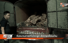 จับขบวนการค้าไม้พะยูง ส่งขายเพื่อนบ้าน