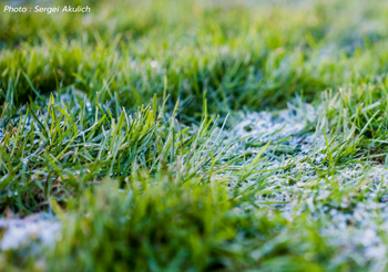 พยากรณ์อากาศ 8 ธ.ค.