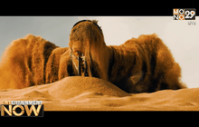 Mad Max ล่ารางวัลไม่หยุด! ผงาดคว้าหนังยอดเยี่ยมตุ๊กตาทองออสเตรเลีย