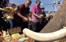 จัดบุฟเฟต์เลี้ยงช้าง 290 เชือก จ.สุรินทร์