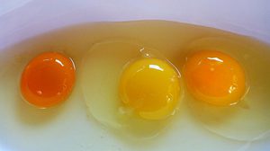 ไข่แดง “สีเหลืองอ่อน” กับ “สีส้มเข้ม” แบบไหนจะดีกว่ากัน