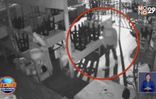 เจ้าของร้านผัดกะเพราตั้งรางวัลนำจับคนร้ายขโมยโทรศัพท์และเงินเหรียญ
