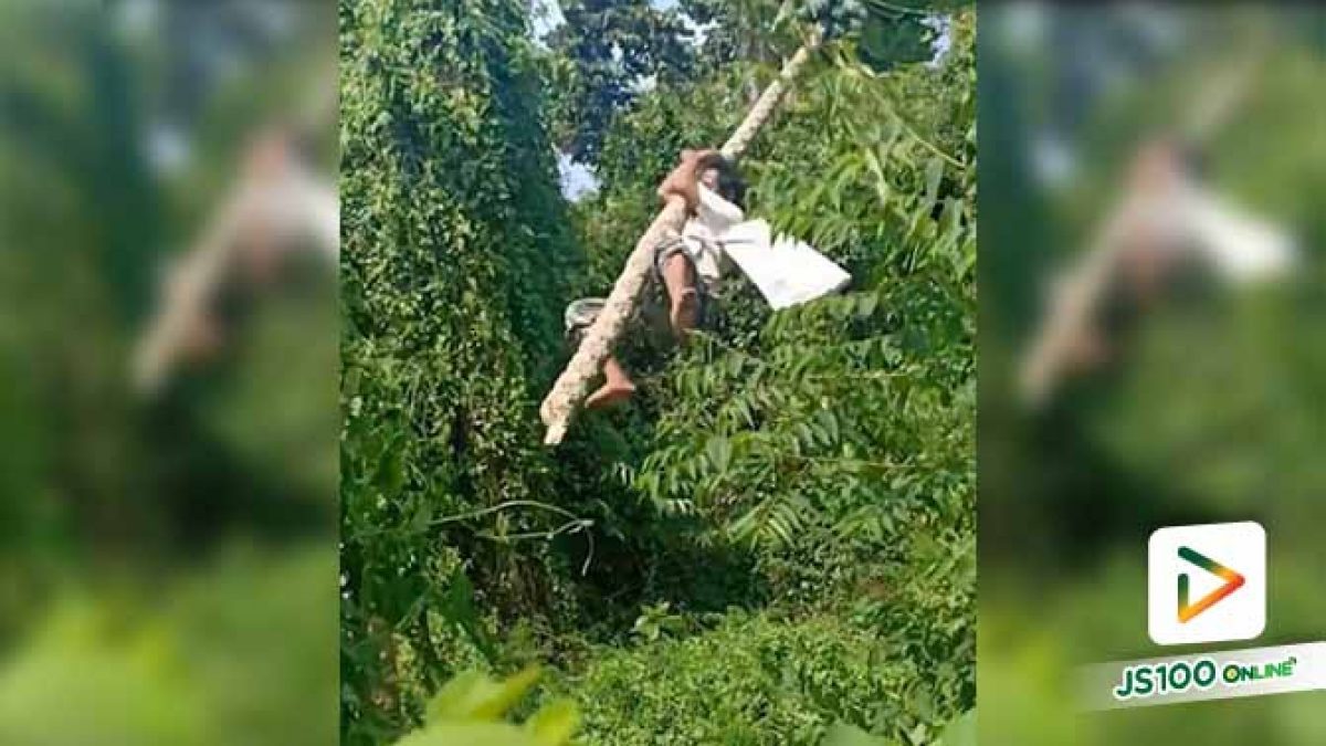ชายเก็บของป่าปีนขึ้นต้นมะละกอสูง แต่ลำต้นหัก ร่วงตกลงมาได้รับบาดเจ็บ (29/09/2019)