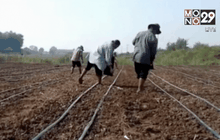 สถานการณ์ภัยแล้งหลายพื้นที่ยังวิกฤติ