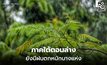สภาพอากาศวันนี้ ภาคใต้ยังมีฝนตกหนักบางแห่ง
