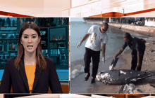 พบซากโลมาลอยติดฝั่ง อ.ศรีราชา จ.ชลบุรี