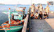 รวบเรือสัญชาติเวียดนามลักลอบจับงูทะเล