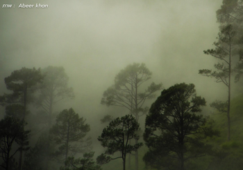 พยากรณ์อากาศ 10 ม.ค. 2563