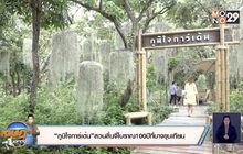 “ภูมิใจการ์เด้น”สวนลิ้นจี่โบราณ 100 ปีที่บางขุนเทียน