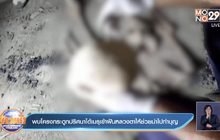 พบโครงกระดูกปริศนาใต้เมรุเข้าฝันหลวงตาให้ช่วยนำไปทำบุญ