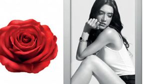 สวยครบ…สยบที่ต้นเหตุ ความอ้วน สิว อารมณ์ สารพัดตัวการปัญหาความสวย