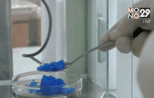 ชิลีคิดค้นผงซักฟอกป้องกันยุงลาย