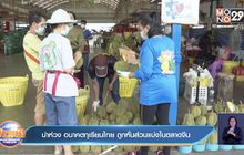 น่าห่วง อนาคตทุเรียนไทย ถูกหั่นส่วนแบ่งในตลาดจีน