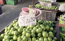 ภัยแล้งกระทบมะนาวเริ่มขยับราคาขึ้น