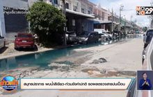 สมุทรปราการ พบน้ำสีเขียว-ท่วมขังค่าปกติ รอผลตรวจสารปนเปื้อน