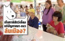 คุยครบกับพบเอก : เก็บภาษีสัตว์เลี้ยง แก้ปัญหาหมา-แมว ล้นเมือง?
