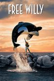 Free Willy ฟรีวิลลี่ เพื่อเพื่อนด้วยหัวใจอันยิ่งใหญ่