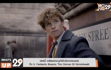 เสาร์นี้ เตรียมผจญภัยในโลกเวทมนตร์  กับ ภ. Fantastic Beasts: The Crimes Of Grindelwald