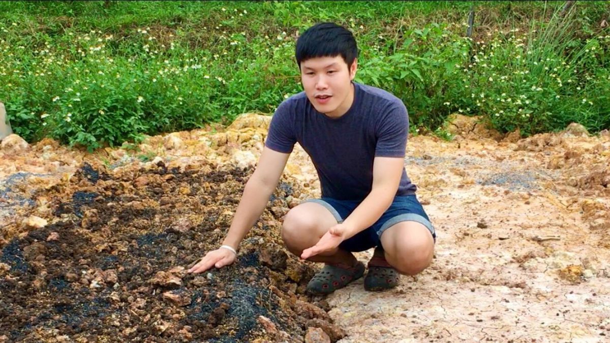 บ้านไร่สายทอง ตอน วิธีปรับปรุงดินเพื่อทำเกษตรอินทรีย์ / How to improve clay soil - organic farming