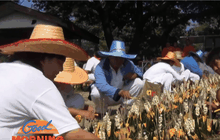 ลอยกระทงเทศกาลกินเจ