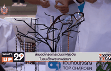 สานต่อโครงการแว่นตาผู้สูงวัยในสมเด็จพระเทพรัตนฯ 