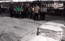 Motion News Break 2 (17-01-59)