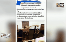 ม.เกษตรศาสตร์ลงโทษนิสิตกุข่าวฆ่าแมว