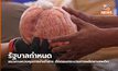 รัฐบาลกำหนด แนวทางควบคุมการนำเข้าสาร ตัดตอนกระบวนการผลิตยาเสพติด
