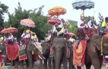 ขบวนแห่นาคย้อนยุคเมืองช้าง
