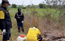 “เพชรบุรี” ม้าตายเพิ่มสั่งคุมเข้มทั้งจังหวัด