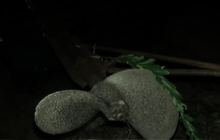 พบเรือประมงถูกถ่วงน้ำอำพรางคดี ที่ จ.สตูล