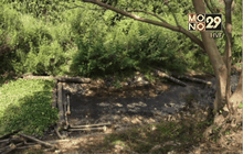 โรงงานแป้งมันสำปะหลังปล่อยน้ำเสีย จ.อุดรธานี