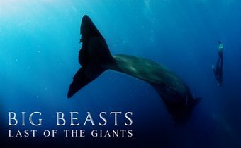 Big Beasts: Last of the Giants ตะลุยแดนสัตว์มหึมา