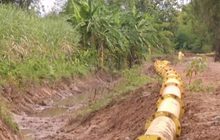 ภัยแล้งวิกฤตทั่วประเทศ