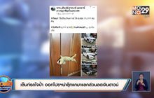 เต็นท์รถใจป้ำ ออกโปรฯนำตุ๊กแกมาแลกส่วนลดเงินดาวน์