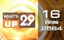 What’s up 29 16-03-64