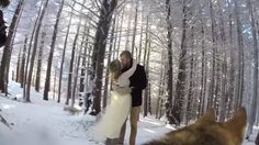 ชมคลิป งานแต่งงาน ที่น่ารักสุดขั้ว จากมุมมอง ของตากล้องน้องหมา