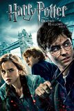 Harry Potter and the Deathly Hallows: Part 1 แฮร์รี่ พอตเตอร์ กับเครื่องรางยมทูต ภาค 1