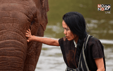 Five minutes Bighero : คุณแสงเดือน  ชัยเลิศ  ตอนที่ 2