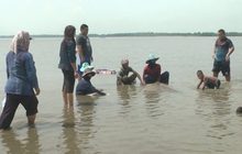 พบปลากระเบนราหูขนาดใหญ่ตายที่ดอนหอยหลอด
