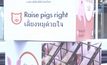 องค์กรพิทักษ์สัตว์แห่งโลก เดินหน้ารณรงค์ “เลี้ยงหมูด้วยใจ”