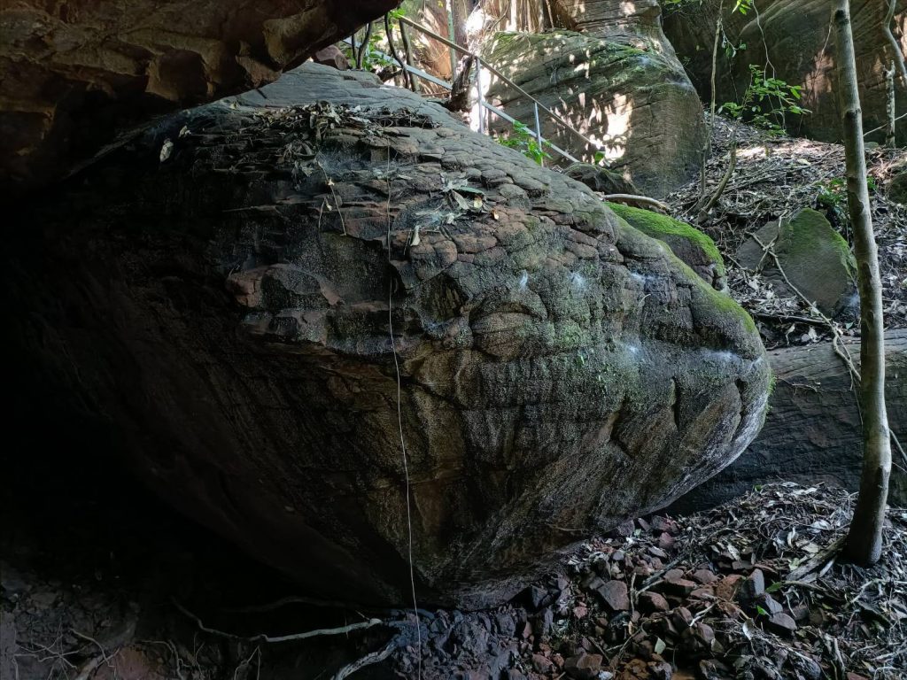 จุดมูถ้ำนาคี