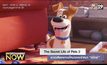 The Secret Life of Pets 2 อวดเสียงพากษ์ใหม่ของเจ้าหมา “แม็กซ์”