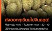 ส่งออก “ทุเรียนไทย” ไปจีนฉลุย ส่งผลราคาพุ่ง 40% – ในประเทศ กก.ละ 130-140 บาท