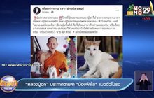 “หลวงปู่ฮก” ประกาศตามหา”น้องฟ้าใส” แมวตัวโปรด