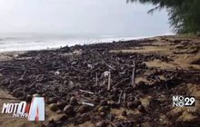 ขยะหาดบ้านกรูด จ.ประจวบฯ ส่งกลิ่นเหม็นหลังน้ำลด