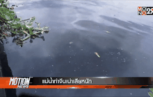 แม่น้ำท่าจีนเน่าเสียหนัก