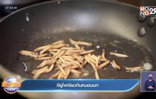 อียูไฟเขียวกินหนอนนก