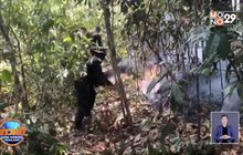 ไฟป่า-ฝุ่นควันภาคเหนือยังวิกฤต